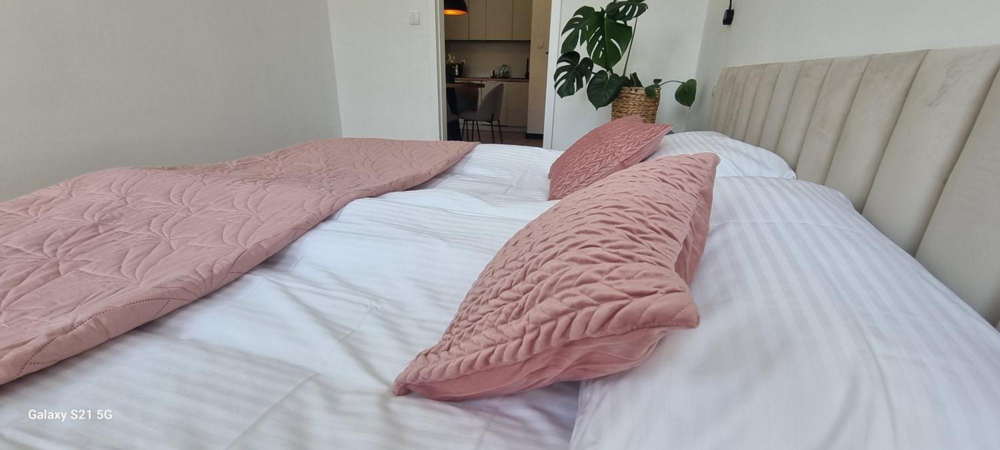 Apartament Moje Dabrowno Eksteriør billede