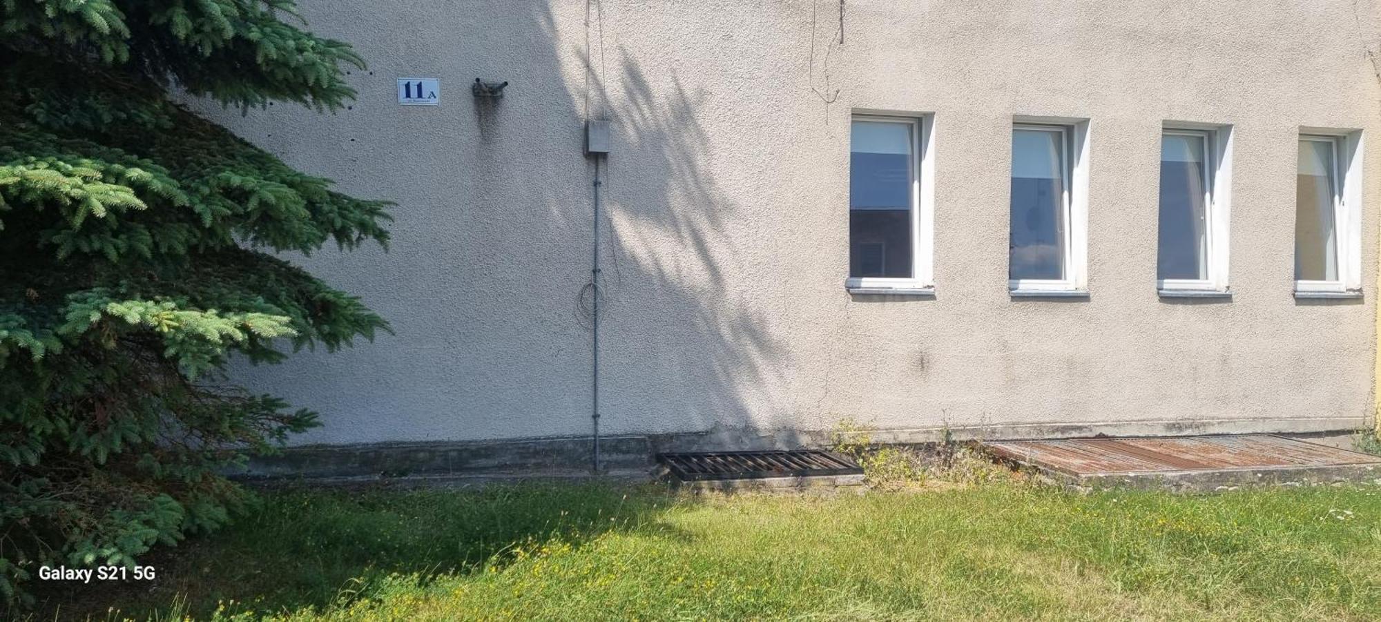 Apartament Moje Dabrowno Eksteriør billede